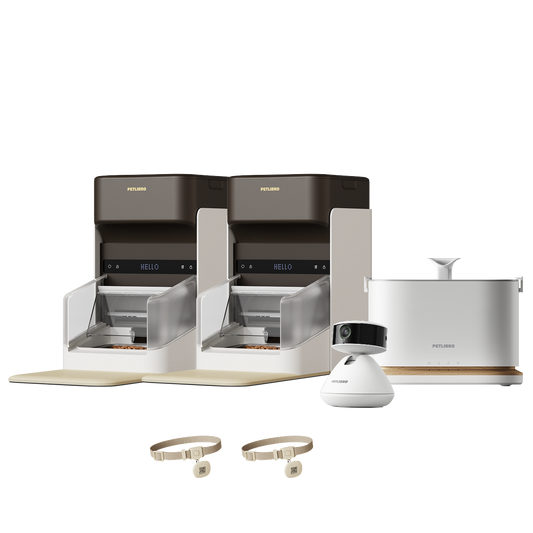 One RFID Smart Feeder & Dockstream 2 Smart Cordless Fountain & Scout Smart Camera