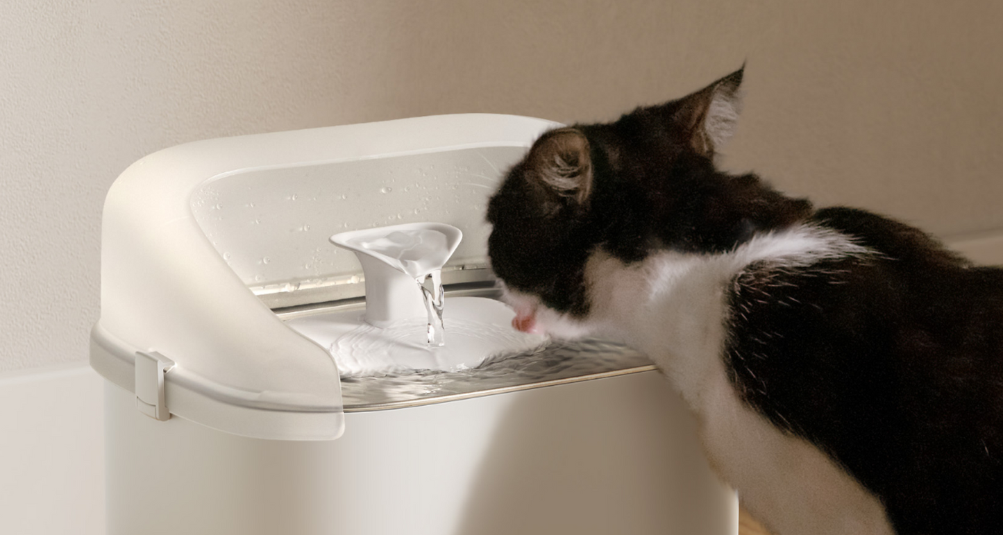 Dockstream 2 Splash Shield