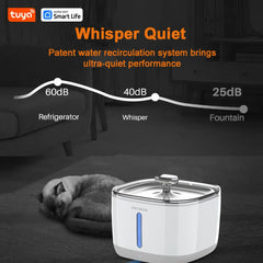 Cat Water Fountain