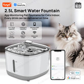 Cat Water Fountain