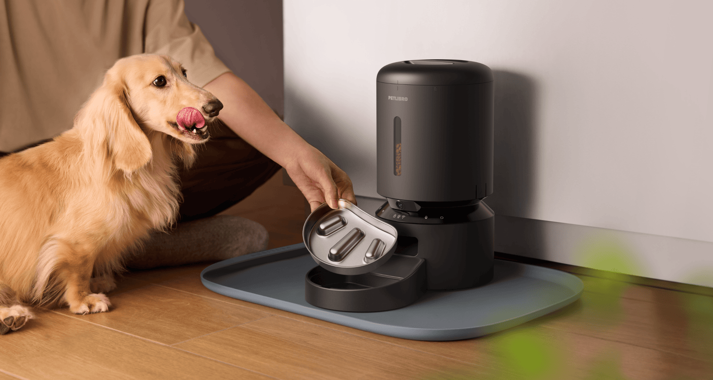 Granary Slow Feeder Bowl