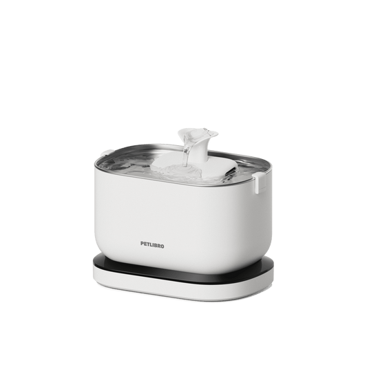 Dockstream Cordless Fountain