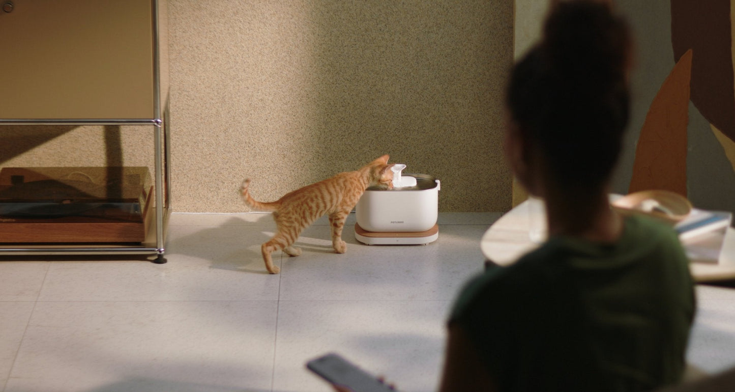 Dockstream Replacement Pump