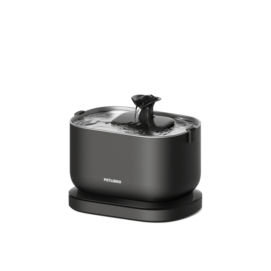 Dockstream Smart Water Fountain
