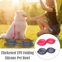 Foldable Double Pet Bowl with Non-Slip Mat - Collapsible Food and Water Dish for Dogs and Cats