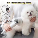 Smart Pet Hair Dryer & Grooming Brush - Silent Blow Comb for Dogs & Cats, 300W, Purple/White