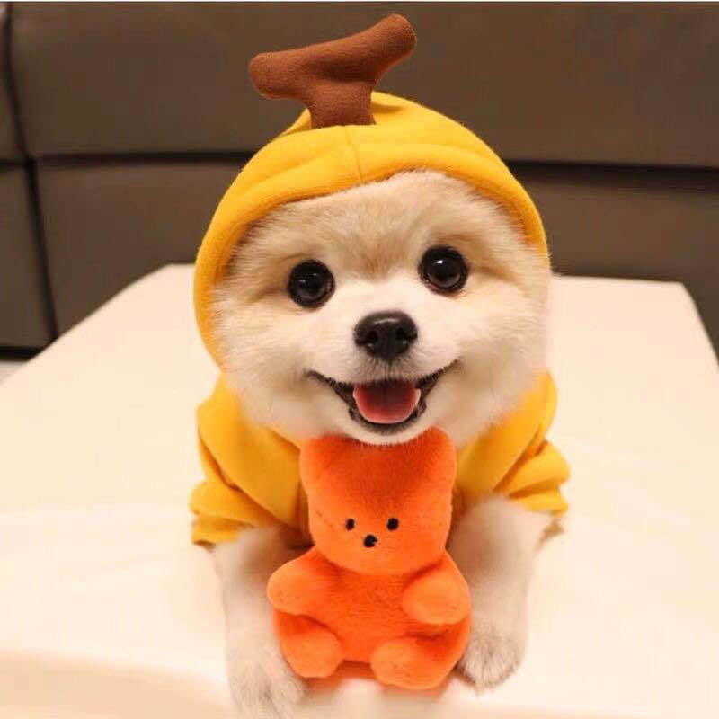 Cute Fruit Hoodie Winter Warm Fleece Dog Sweater for Small Dogs - French Bulldog, Chihuahua, Puppy & Cat Clothing