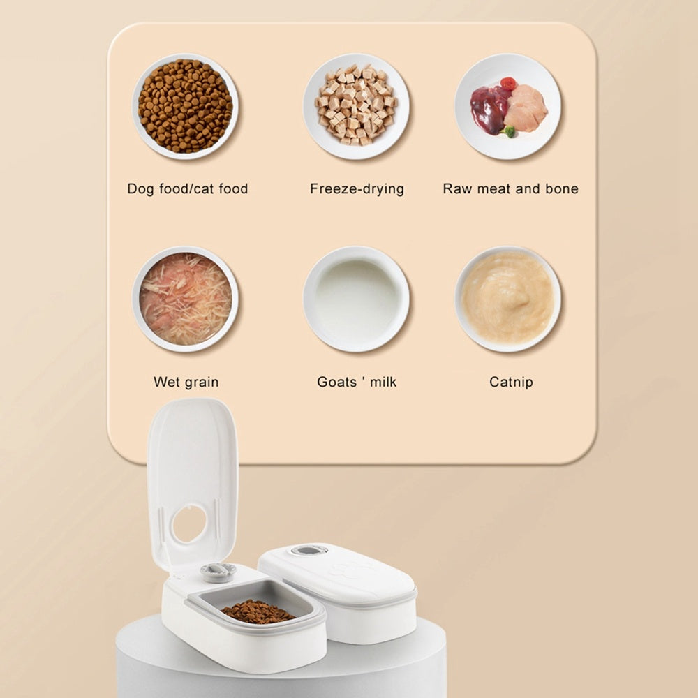 Ourpetlly Automatic Pet Feeder with Timer - Smart Food Dispenser for Cats and Dogs, 4-Meal Programmable, Stainless Steel Bowl