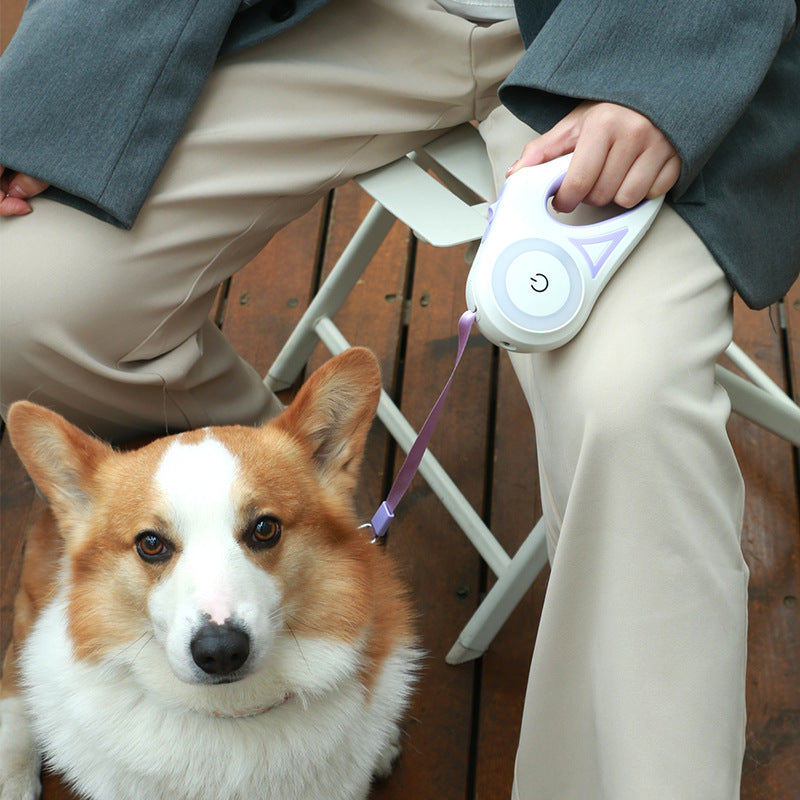 Automatic Retractable Dog Leash with LED Light & Collar Set for Small to Medium Dogs