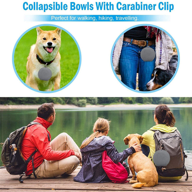 Foldable Double Pet Bowl with Non-Slip Mat - Collapsible Food and Water Dish for Dogs and Cats