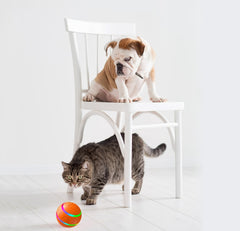 Automatic Self-Rotating Cat Toy Ball - Interactive USB Charging Pet Toy with Remote Control
