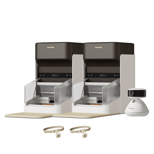 RFID Smart Feeder & Scout Smart Camera