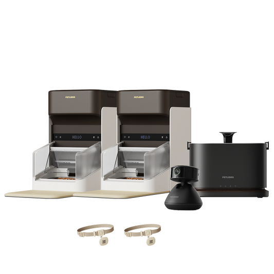 One RFID Smart Feeder & Dockstream 2 Smart Cordless Fountain & Scout Smart Camera