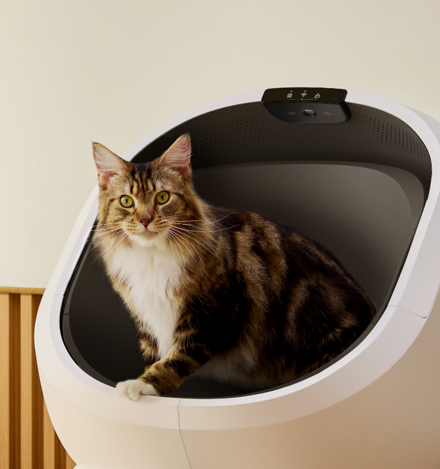 Luma Smart Litter Box