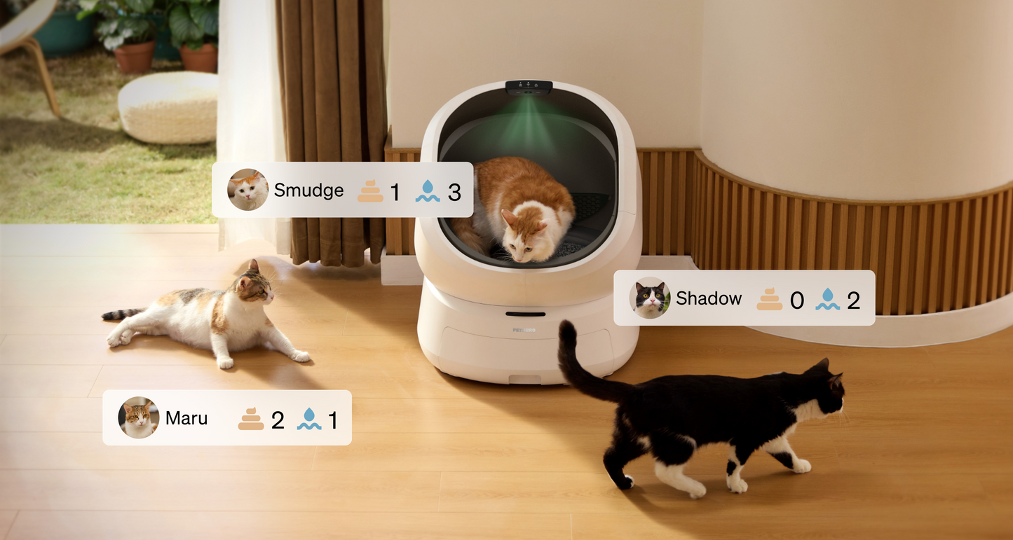 Luma Smart Litter Box
