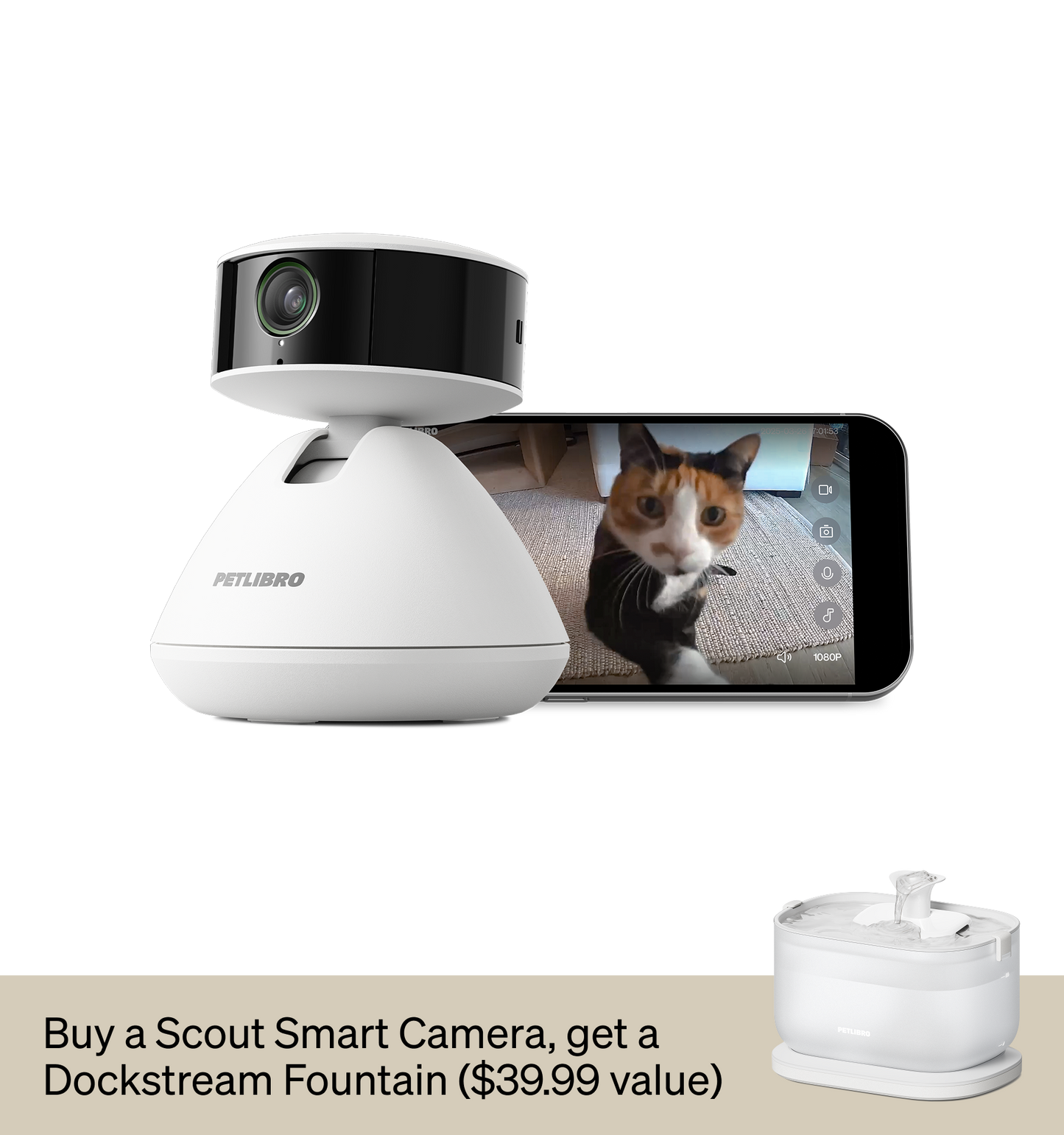 Scout Smart Camera & Dockstream Fountain