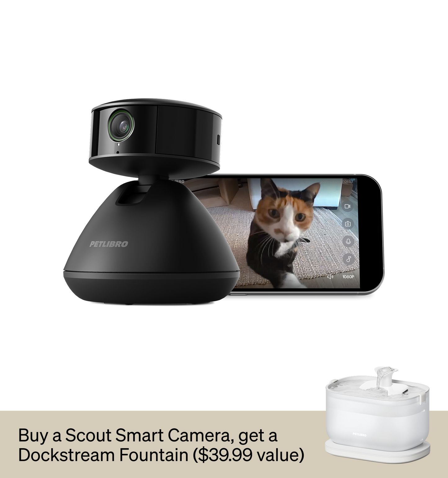Scout Smart Camera & Dockstream Fountain