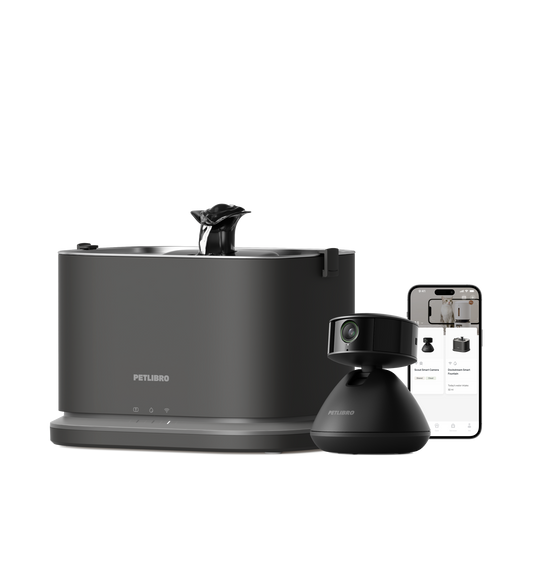 Scout Smart Camera & Dockstream 2 Smart Fountain