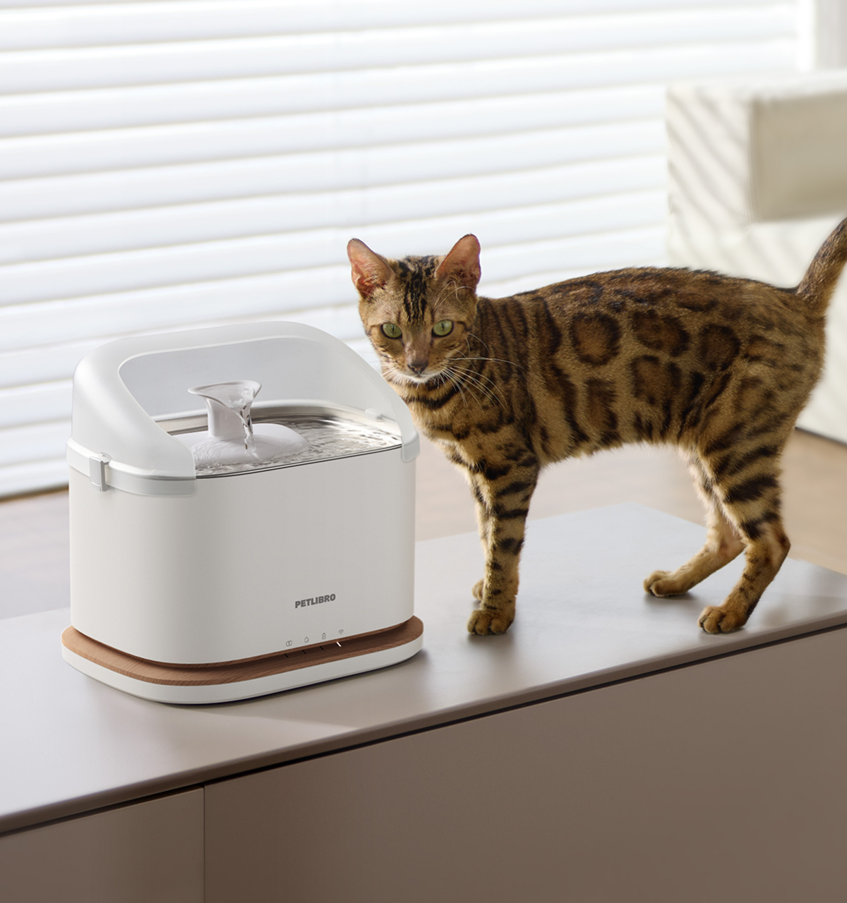 Dockstream 2 Splash Shield