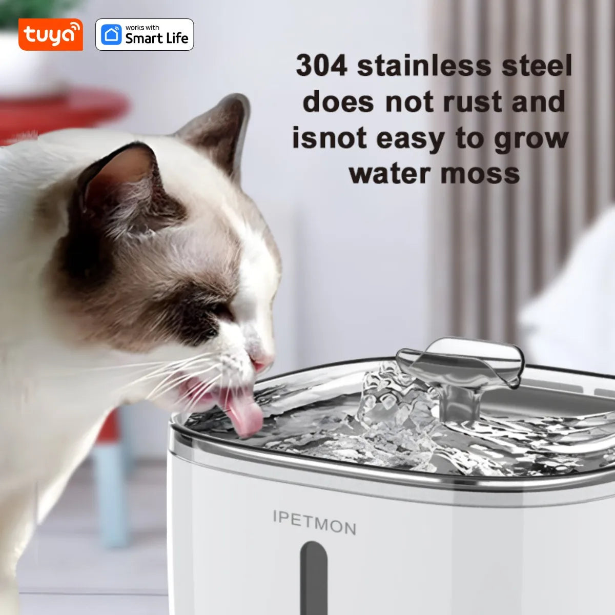 Cat Water Fountain