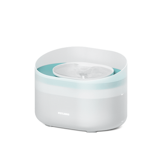 Capsule Dog Fountain