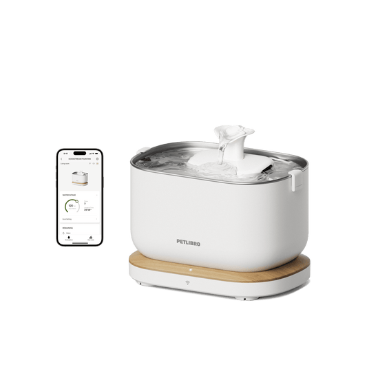 Dockstream Smart Fountain