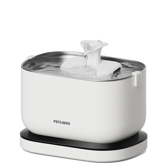 Dockstream Cordless Fountain