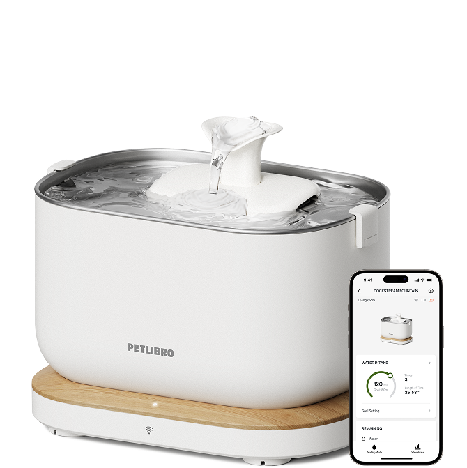 Dockstream Smart Fountain