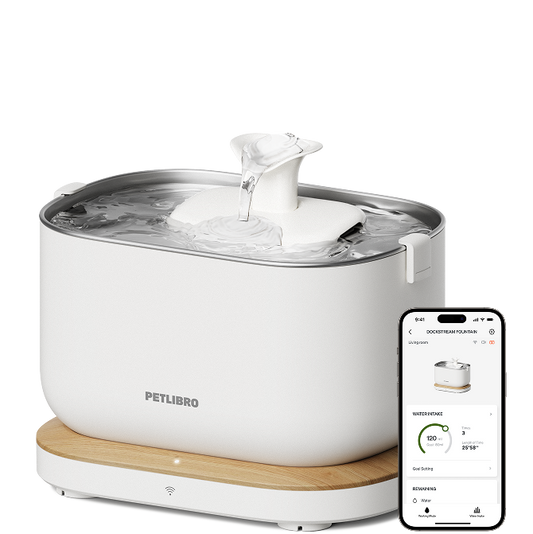 Dockstream Smart Fountain