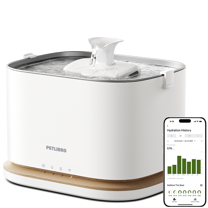 Dockstream 2 Smart Fountain