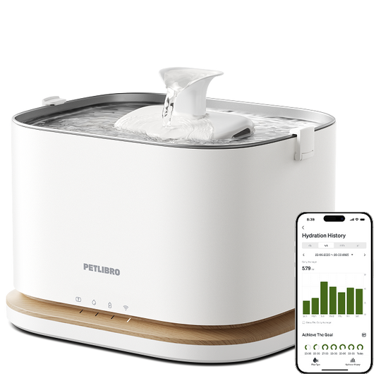 Dockstream 2 Smart Fountain