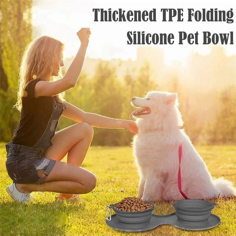 Foldable Double Pet Bowl with Non-Slip Mat - Collapsible Food and Water Dish for Dogs and Cats