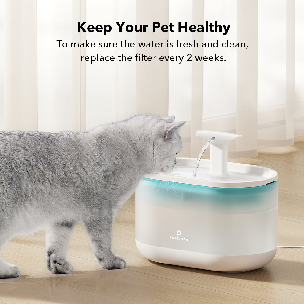 Capsule Dog Fountain & Cat Fountain Bundle