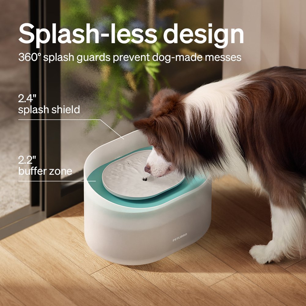 Capsule Dog Fountain & Cat Fountain Bundle