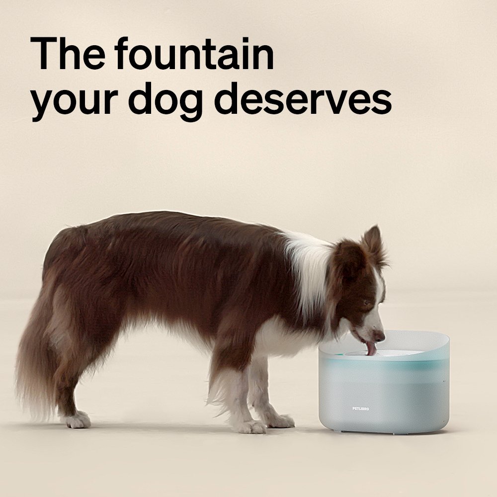 Capsule Dog Fountain & Cat Fountain Bundle