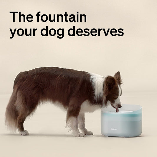 Capsule Dog Fountain & Cat Fountain Bundle