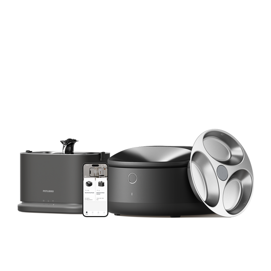 Polar Smart Wet Food Feeder & Dockstream 2 Smart Fountain