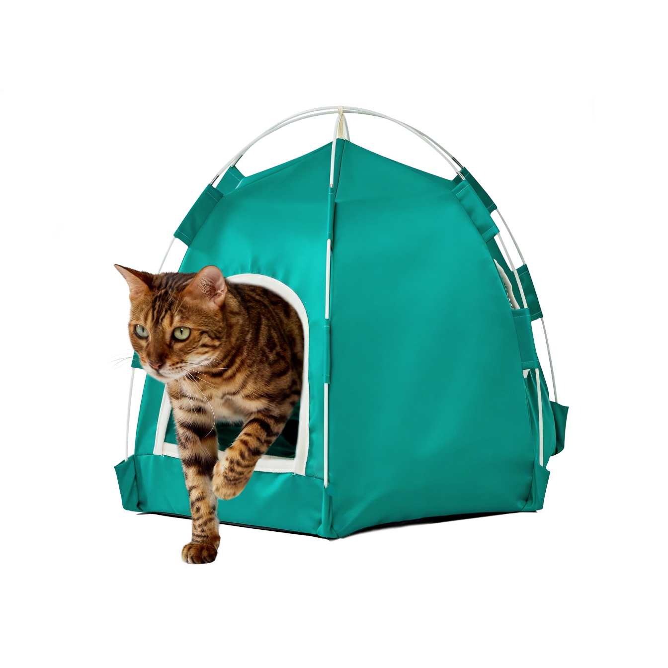 ‍Pet tent (100% off)
