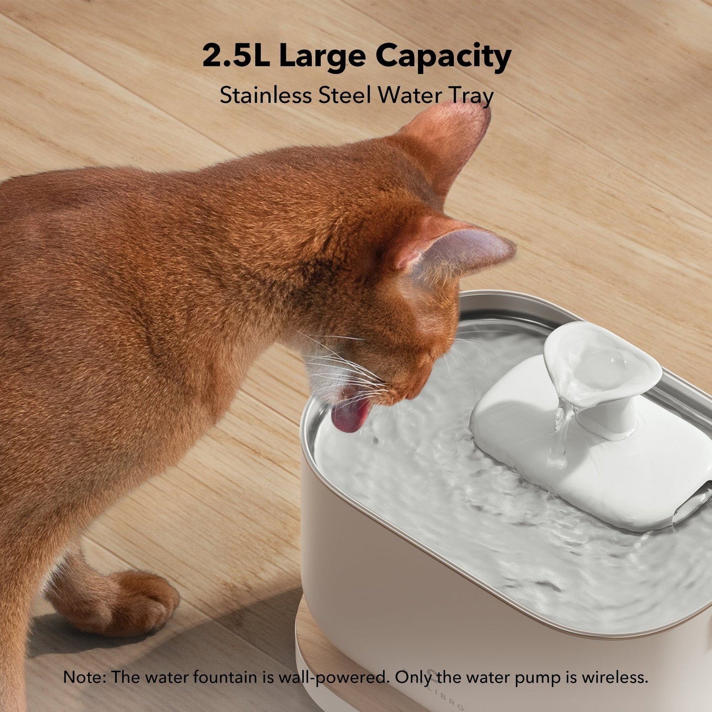 Dockstream Smart Pet Fountain