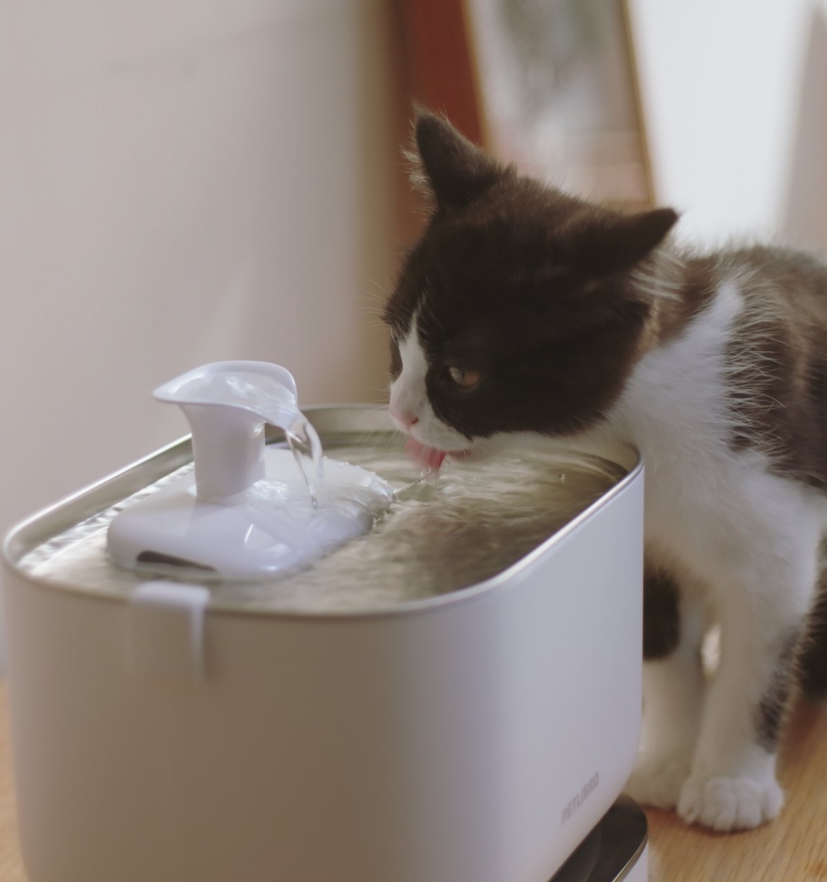 Dockstream 2 Smart Fountain Replacement Filter