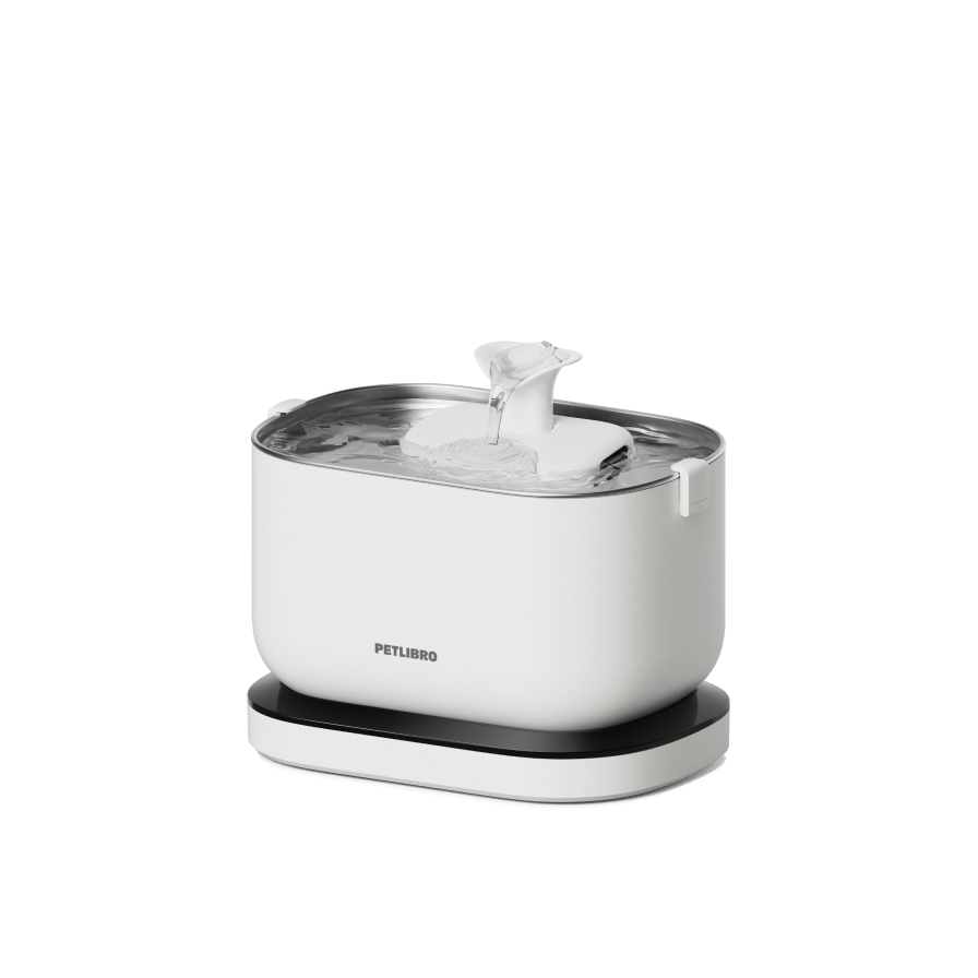 Dockstream Smart Water Fountain