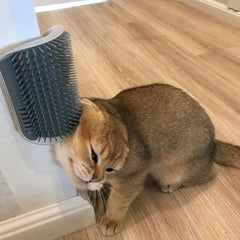 Cat Self Grooming Brush - Wall Mounted Massage & Deshedding Tool for Cats