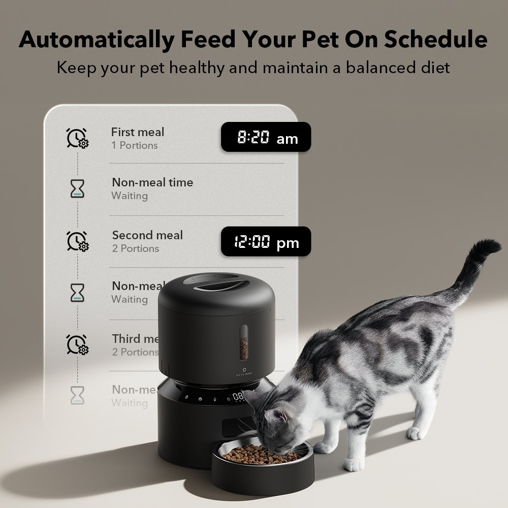 Granary Automatic Feeder for pet