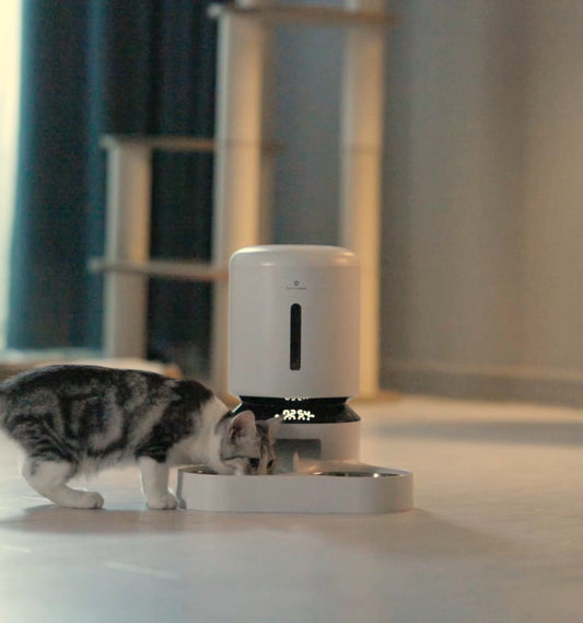 Granary Automatic Feeder Set