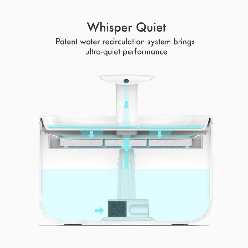 Capsule Fountain for pet