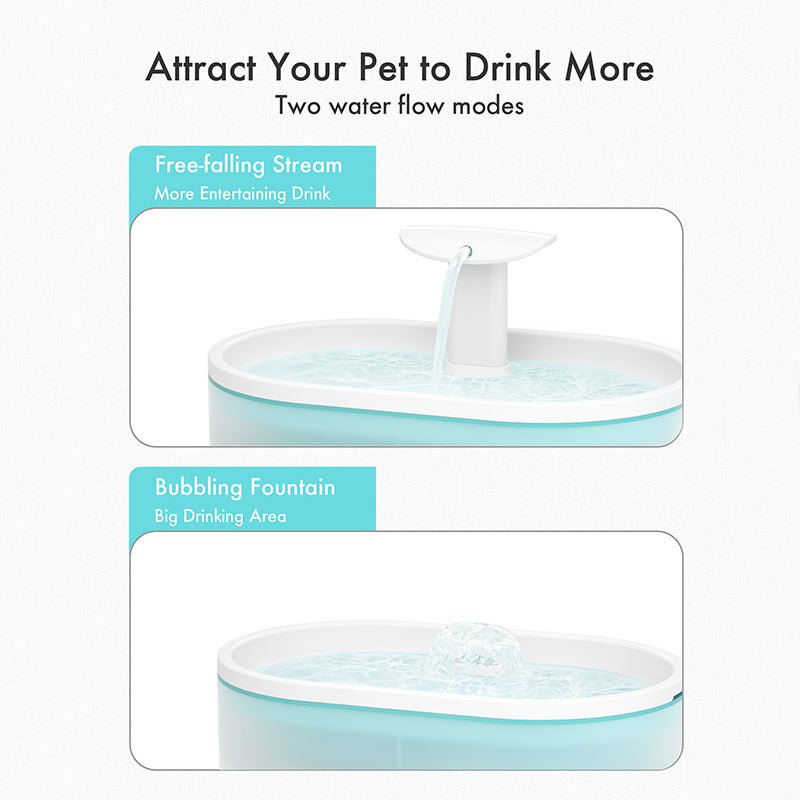 Capsule Fountain for pet