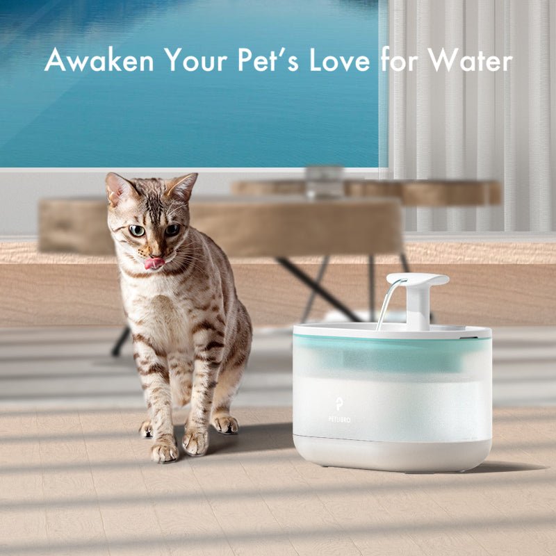Capsule Fountain for pet