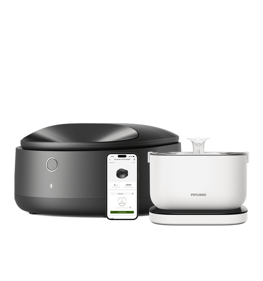 Polar Wet Food Feeder & Cordless Fountain Bundle