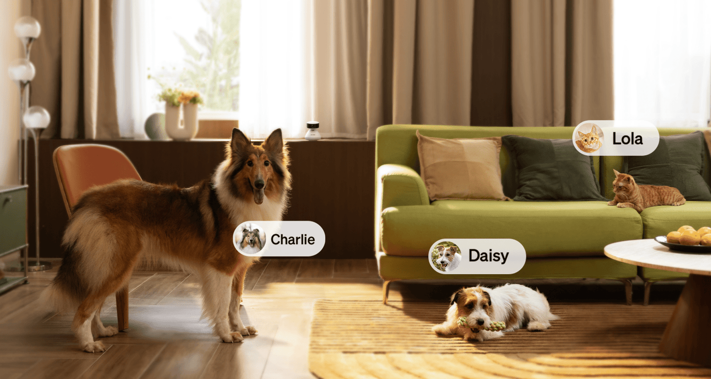 Scout Smart Camera & Petlibro Magnetic Bottle Opener