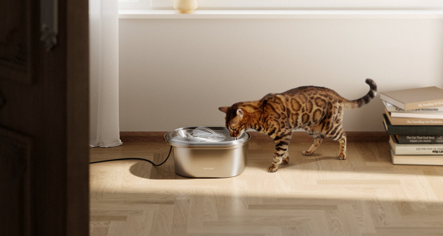 Stainless Steel/Rainbow Replacement Pump